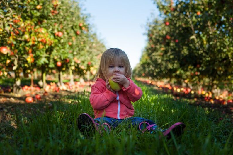 Children diagnosed with diabetes mellitus can use ugly fruits